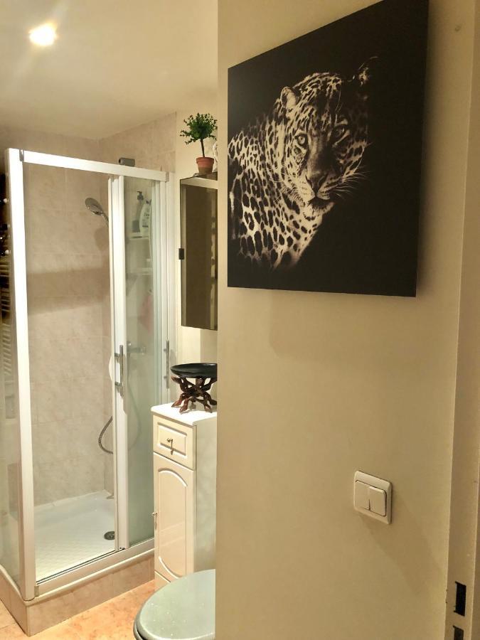 Centre 5 Minutes De La Appartement *